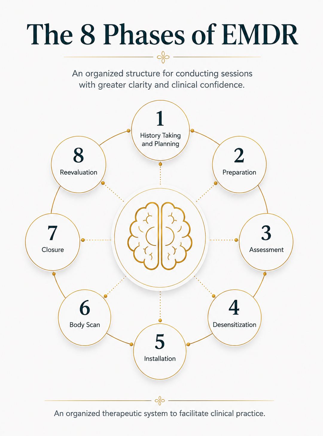 8 EMDR Phases
