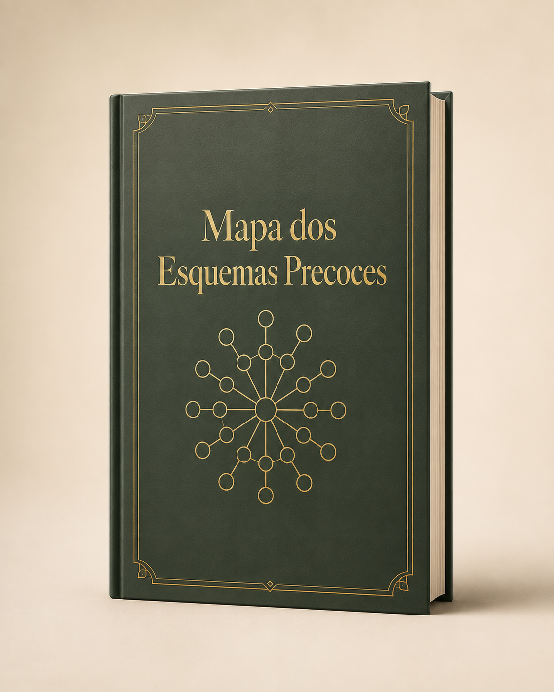 Mapa dos Esquemas Precoces